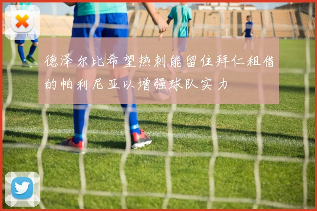 德泽尔比希望热刺能留住拜仁租借的帕利尼亚以增强球队实力